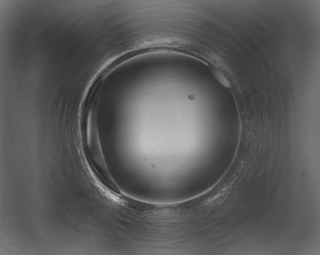 X0000054400792200508011321