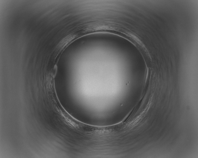 X0000054400793200508011321