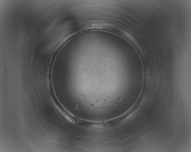 X0000054400794200508011321