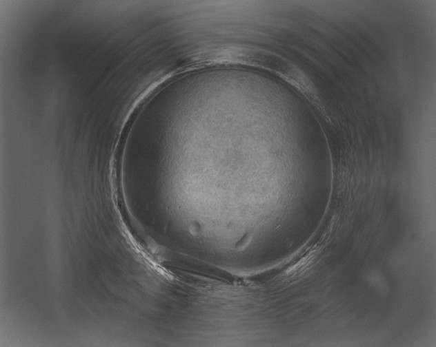 X0000054400798200508011321