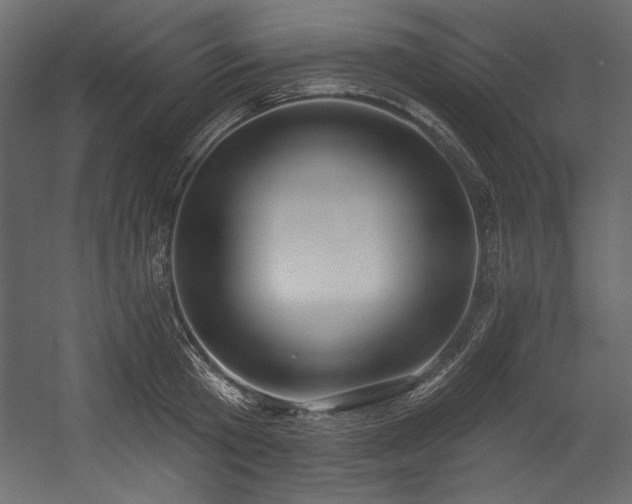 X0000054400801200508011321