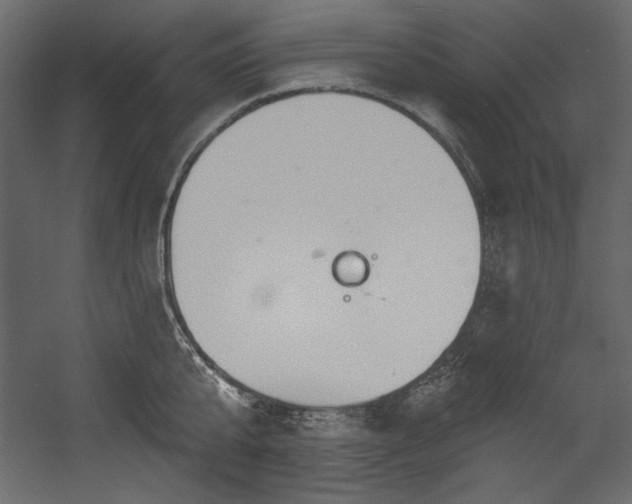 X0000054400807200508011321