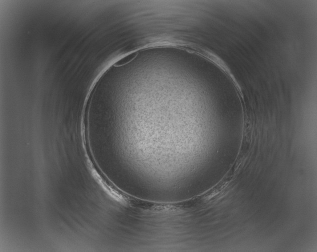 X0000054400811200508011321