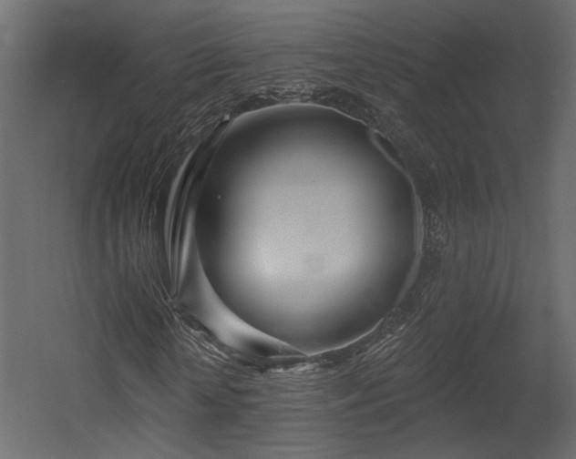 X0000054400818200508011320