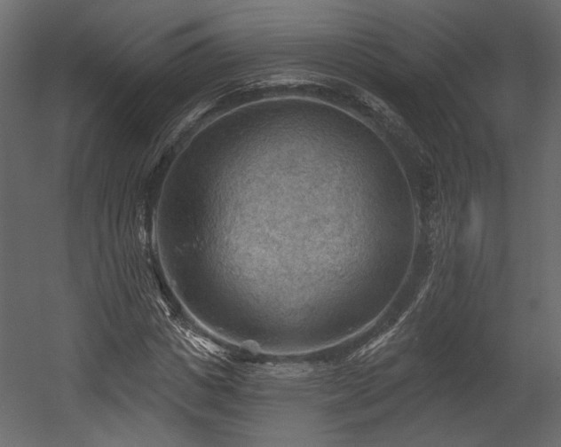 X0000054400825200508011320
