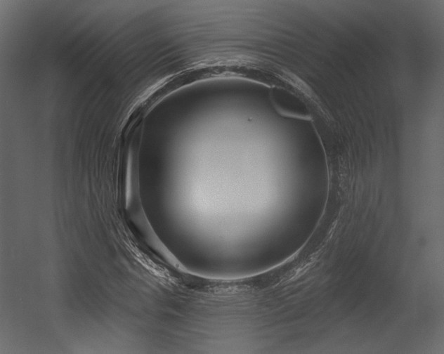 X0000054400826200508011320