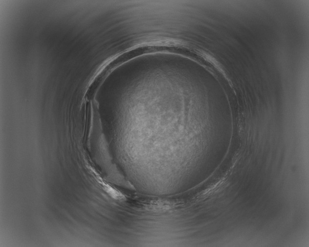 X0000054400829200508011320