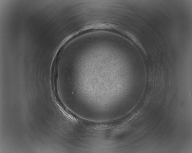 X0000054400837200508011320