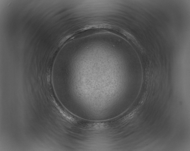 X0000054400841200508011320
