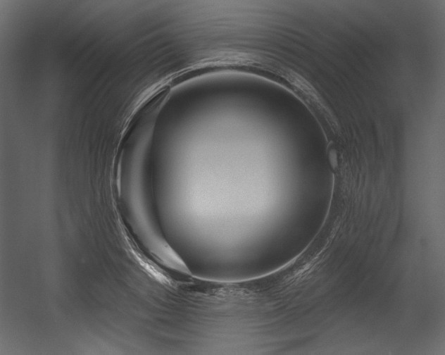 X0000054400842200508011320