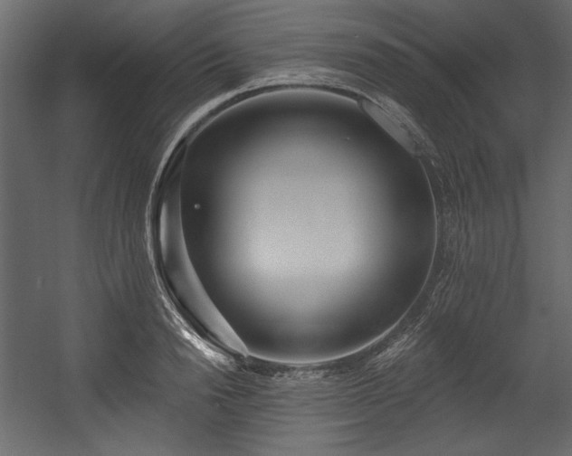 X0000054400846200508011320