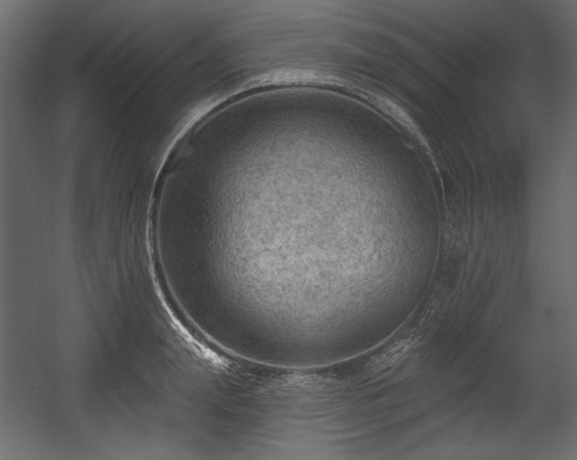 X0000054400847200508011320