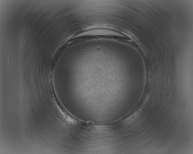 X0000054400849200508011320