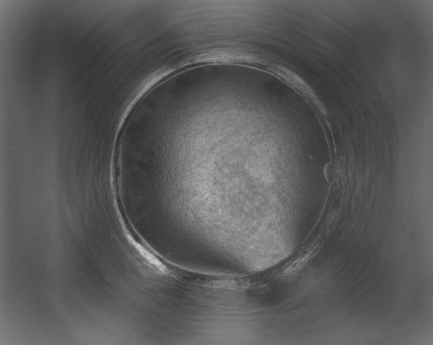 X0000054400855200508011320