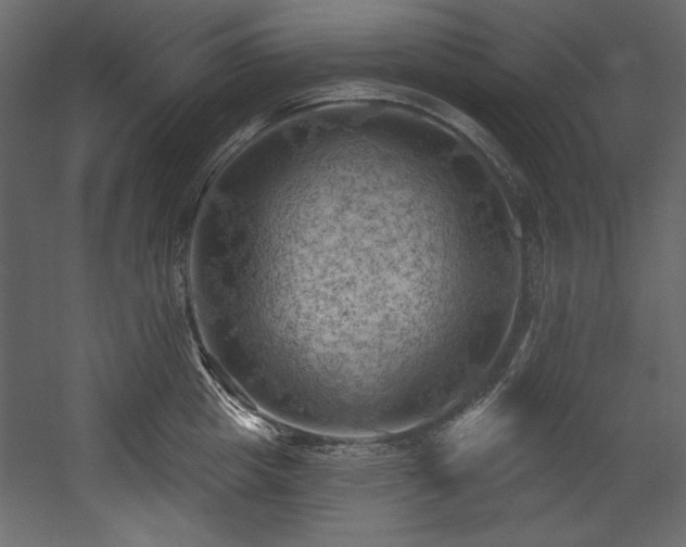 X0000054400857200508011320
