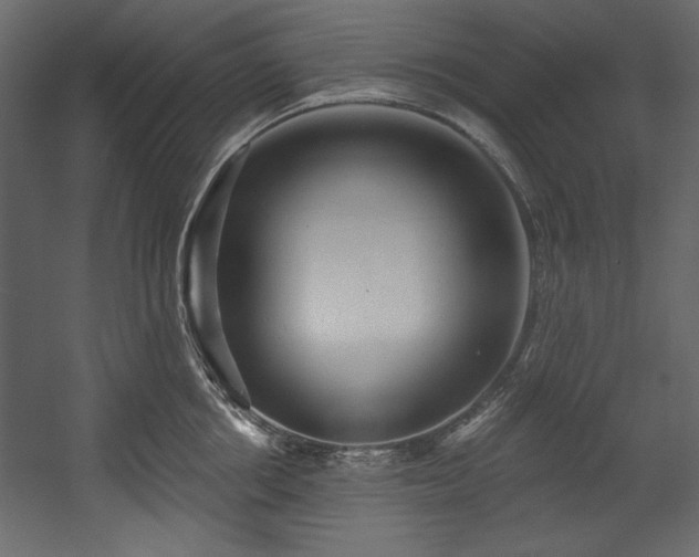 X0000054400858200508011321