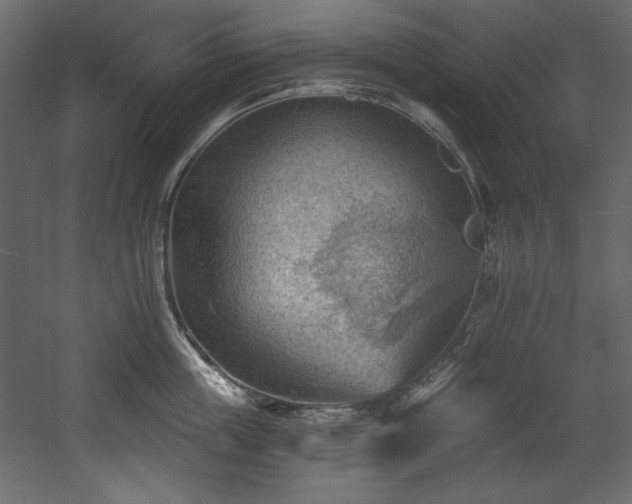 X0000054400859200508011321