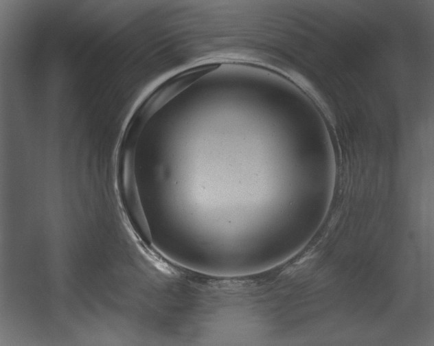 X0000054400862200508011321