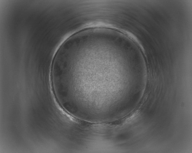 X0000054400863200508011321