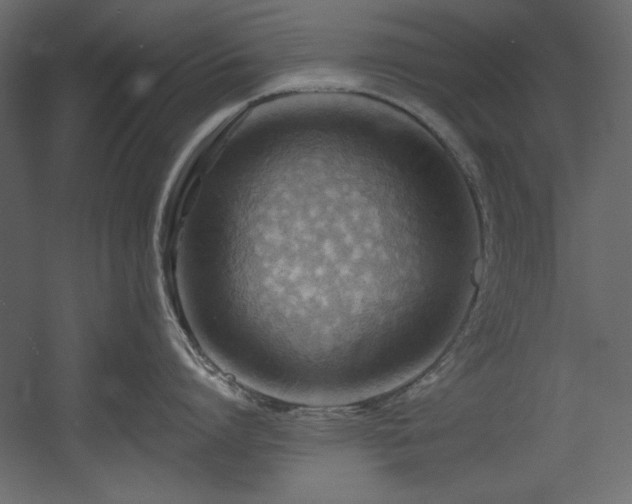 X0000054400864200508011321