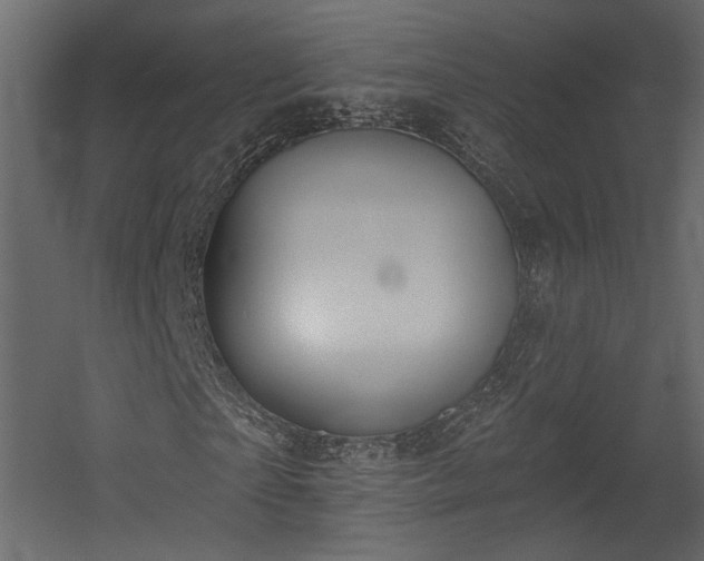 X0000054400865200508011320