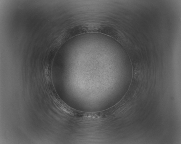 X0000054400866200508011320