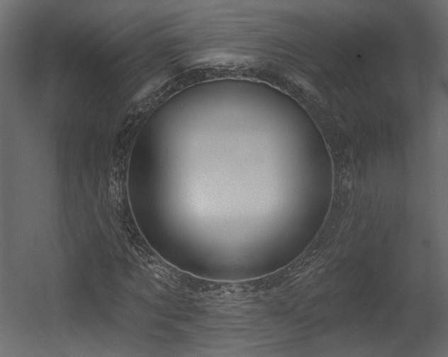 X0000054400869200508011320