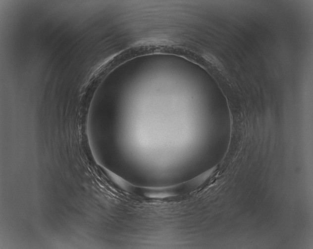 X0000054400872200508011320