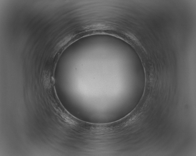 X0000054400873200508011320
