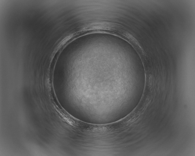 X0000054400882200508011319