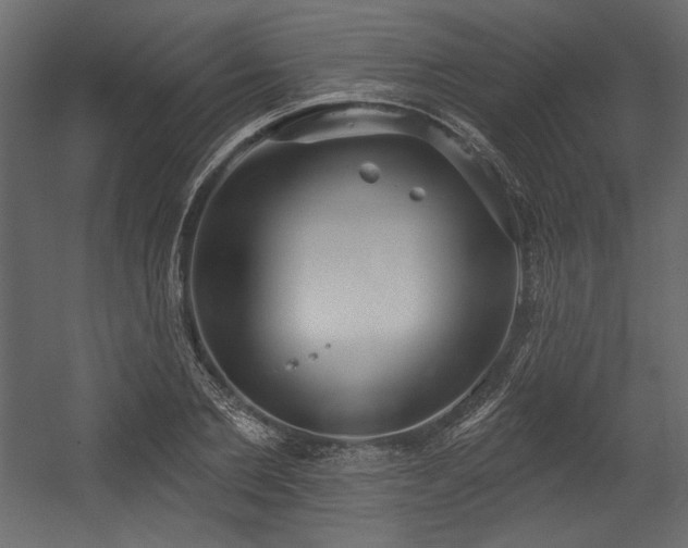 X0000054400885200508011319
