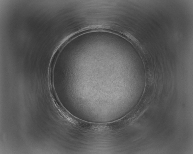 X0000054400886200508011319