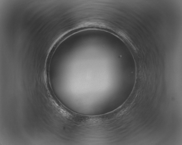X0000054400888200508011319