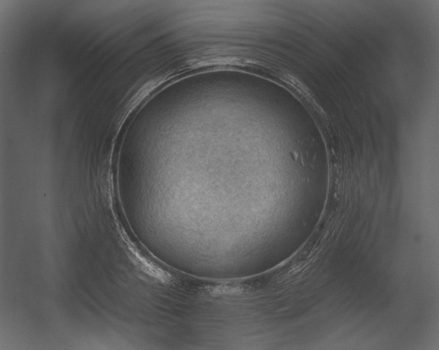 X0000054400890200508011319