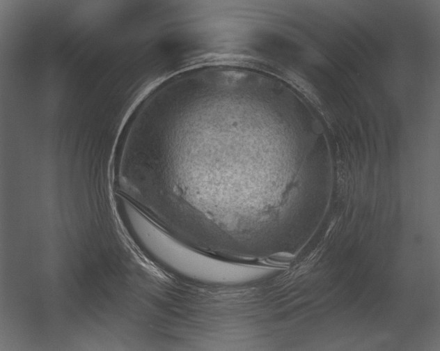 X0000054400891200508011319