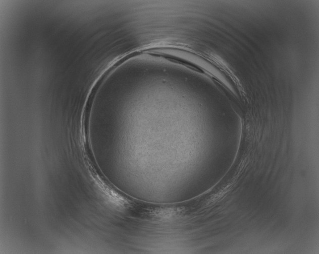 X0000054400892200508011319
