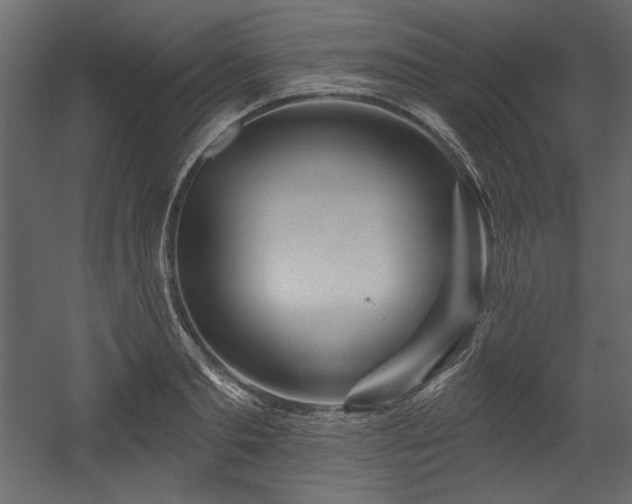 X0000054400893200508011319