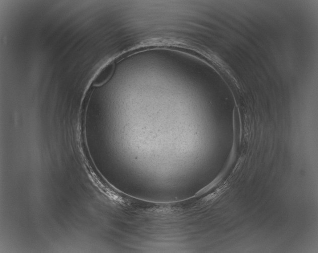 X0000054400896200508011319