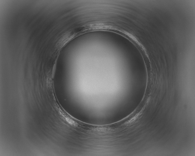 X0000054400897200508011319