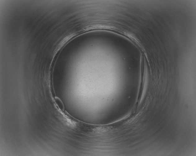 X0000054400898200508011319