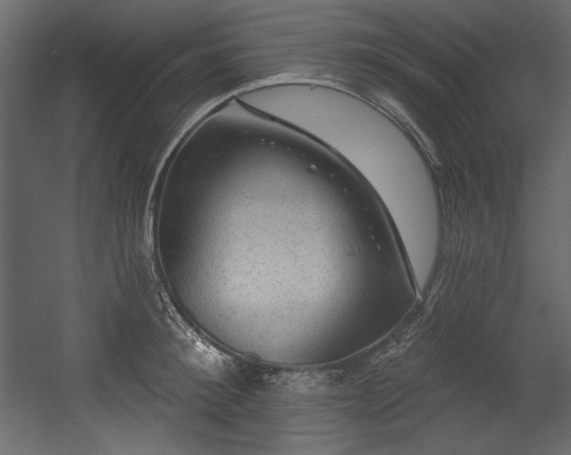 X0000054400900200508011319