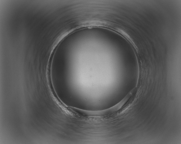 X0000054400901200508011319