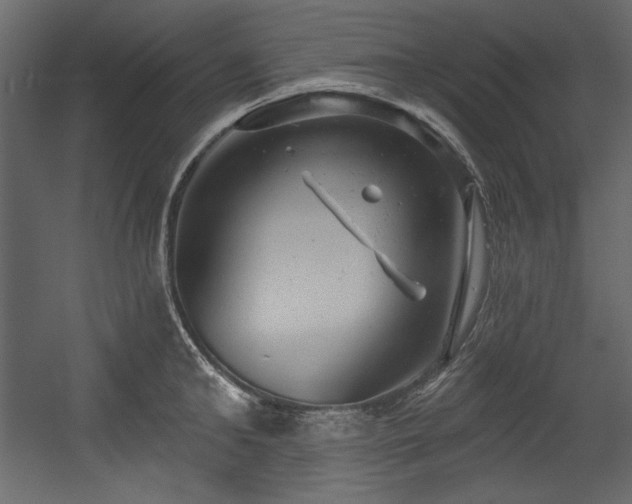 X0000054400902200508011319