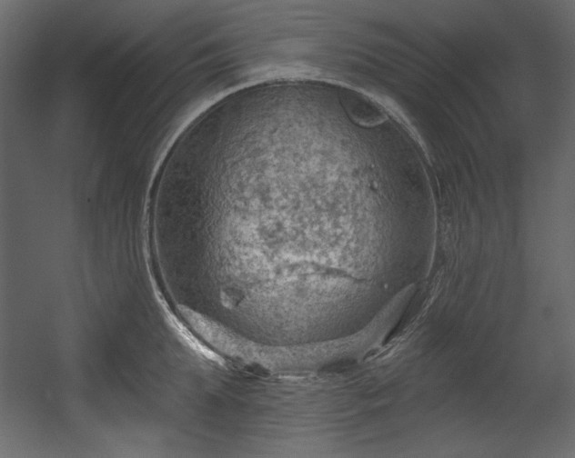 X0000054400903200508011319