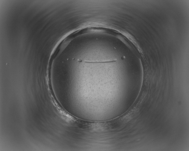 X0000054400904200508011319