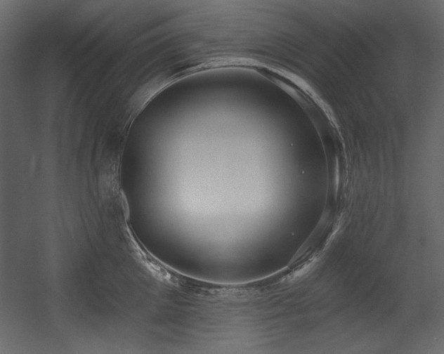 X0000054400905200508011319