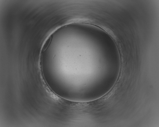 X0000054400912200508011319