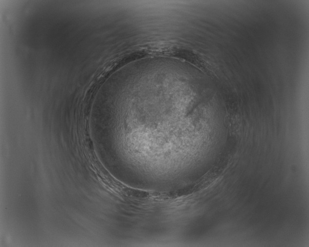 X0000054400913200508011318