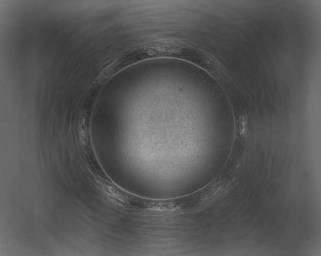 X0000054400915200508011318
