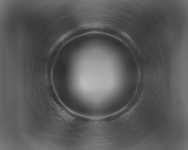 X0000054400922200508011318